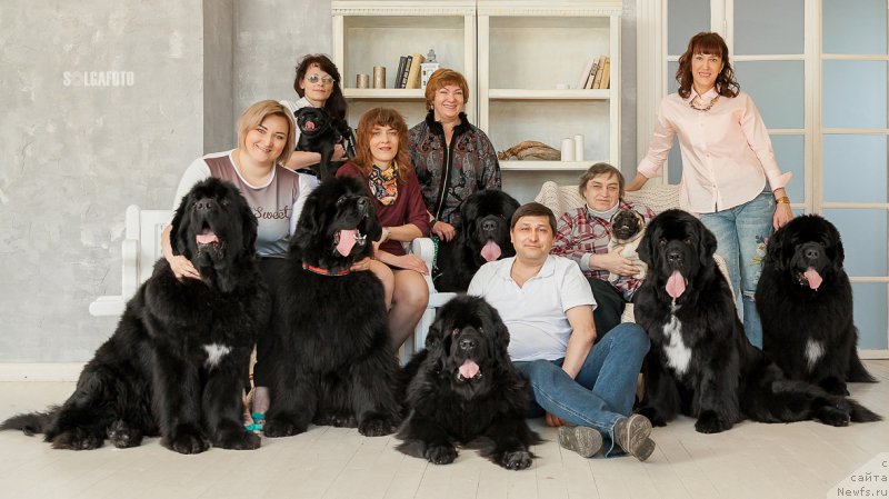 Фотография № 222713