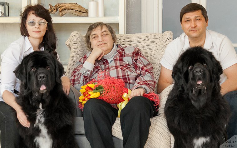 Фотография № 222714