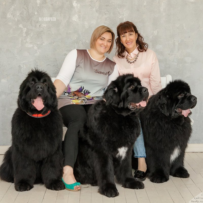 Фотография № 222715