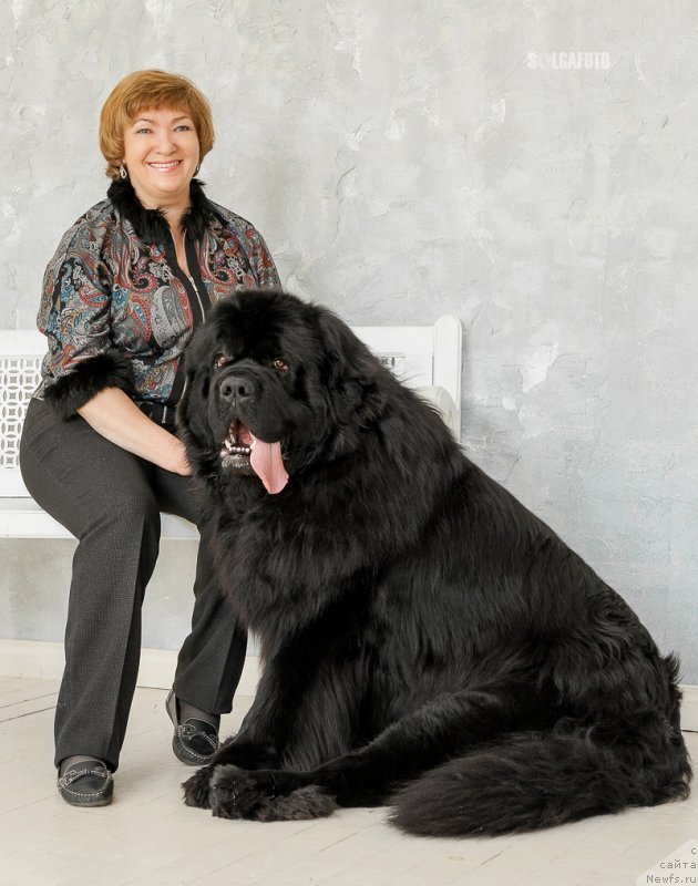 Фотография № 222717