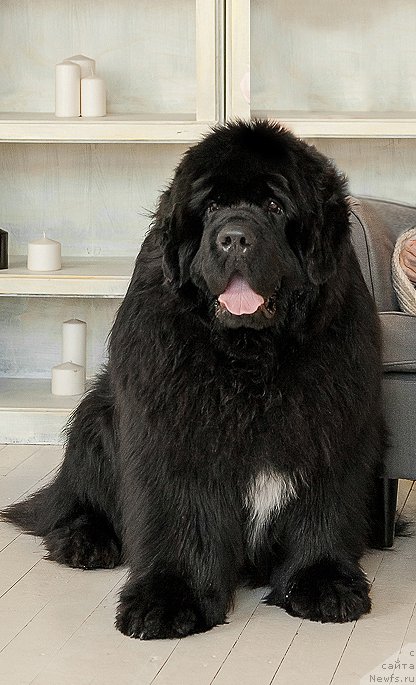 Фотография № 222719