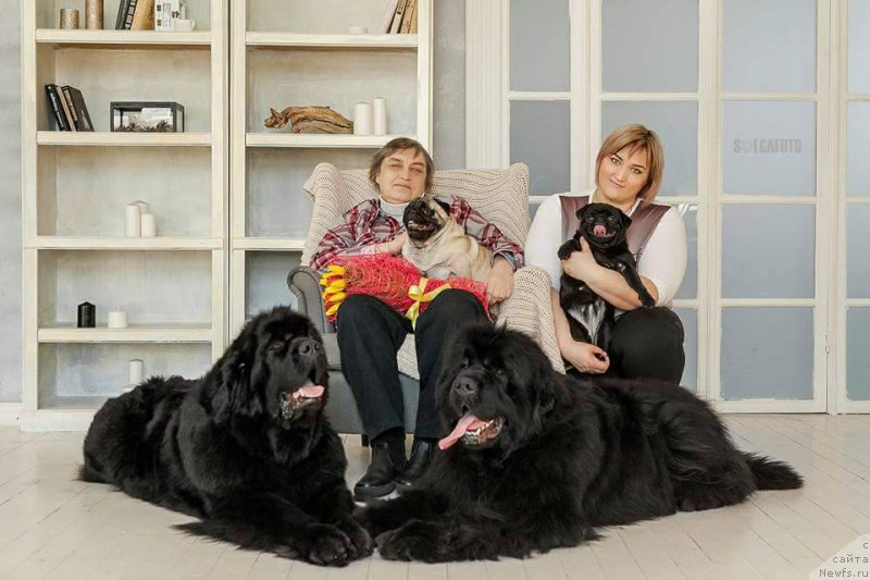 Фотография № 222722