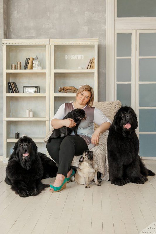 Фото: ньюфаундленд Русалочка из Племени Кедра (Rusalochka iz Plemeni Kedra), ньюфаундленд Эльбрус из Антаграда