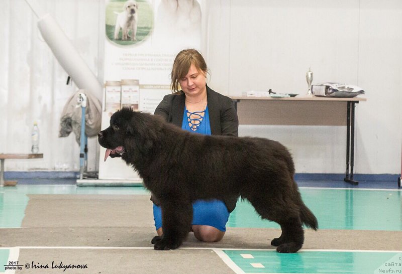 Фотография № 222730