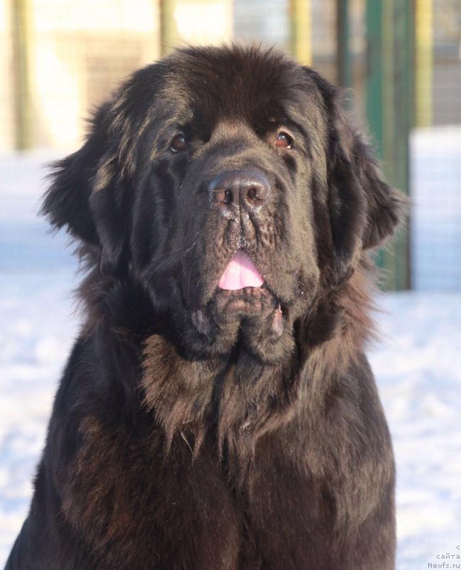 Фотография № 222754