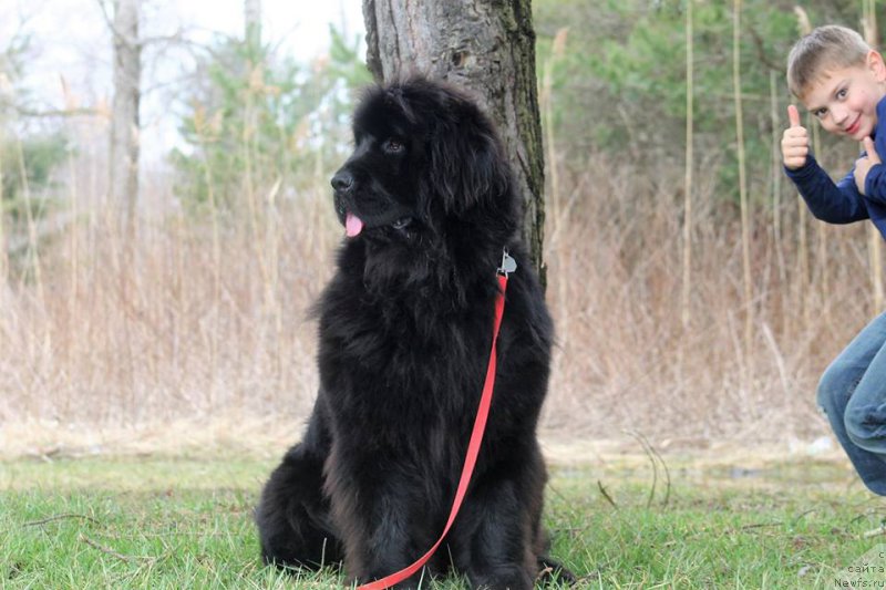 Фотография № 222755