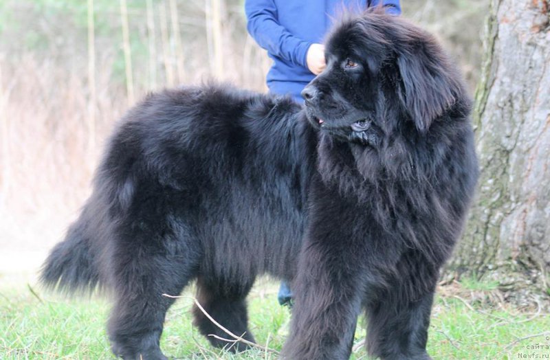 Фотография № 222756