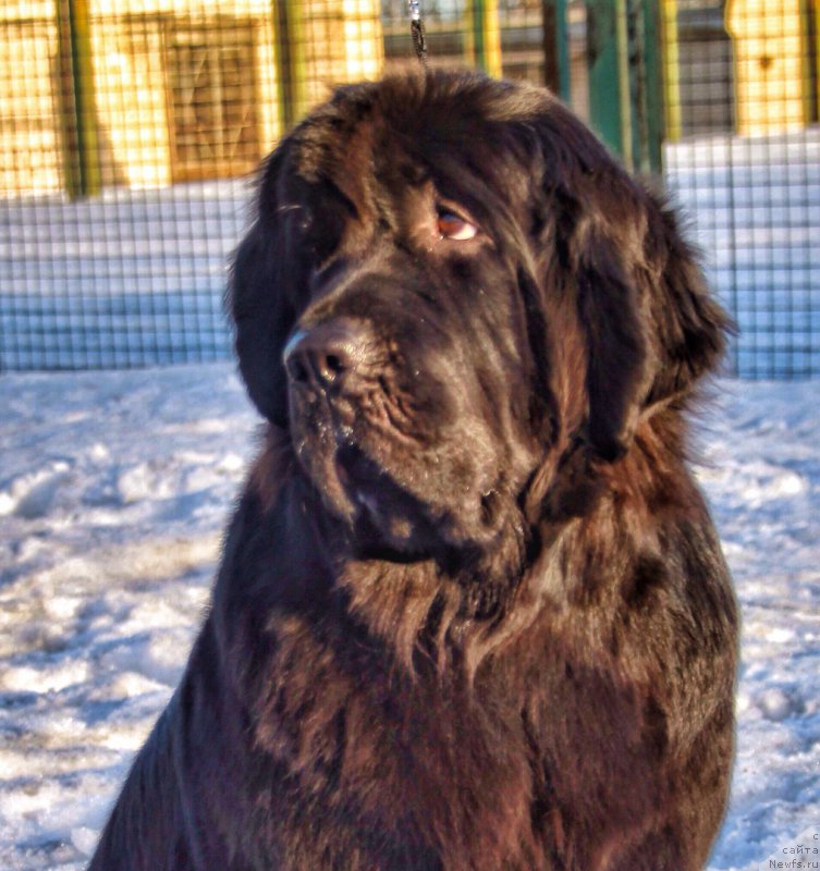 Фотография № 222758