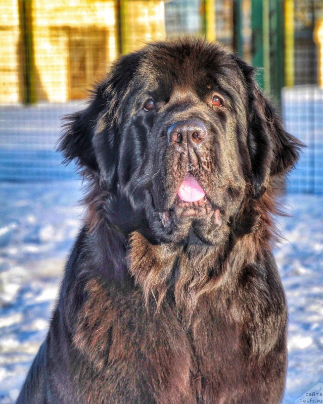 Фотография № 222759