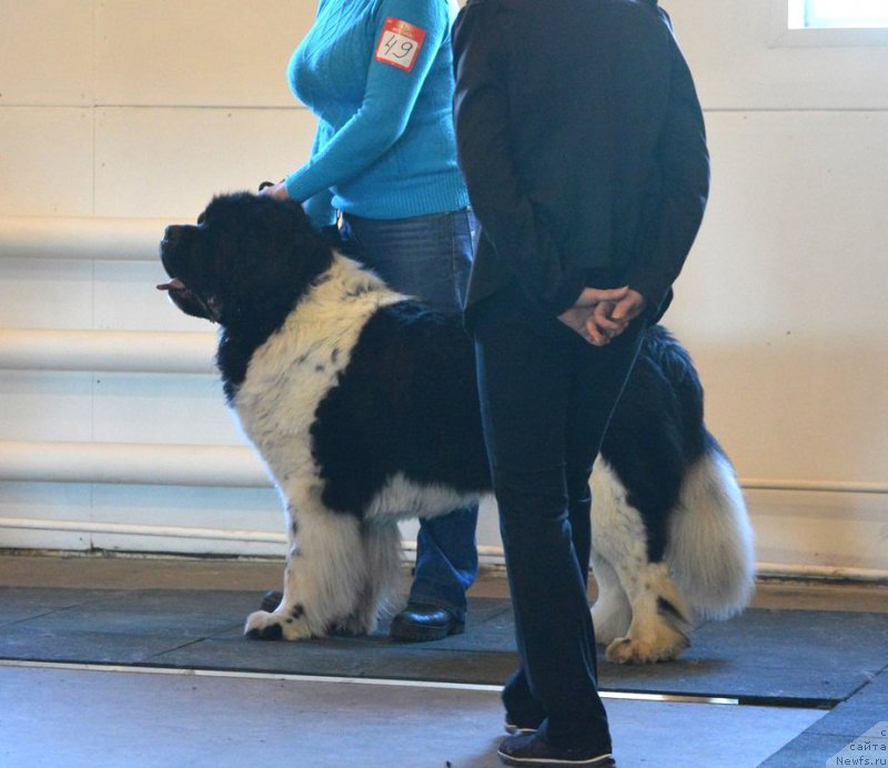 Фотография № 222764