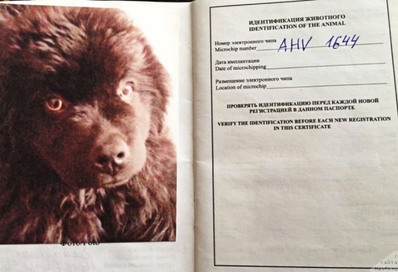 Фотография № 222802