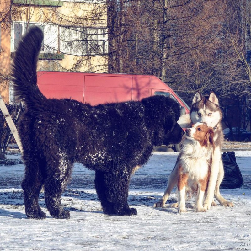 Фотография № 222820