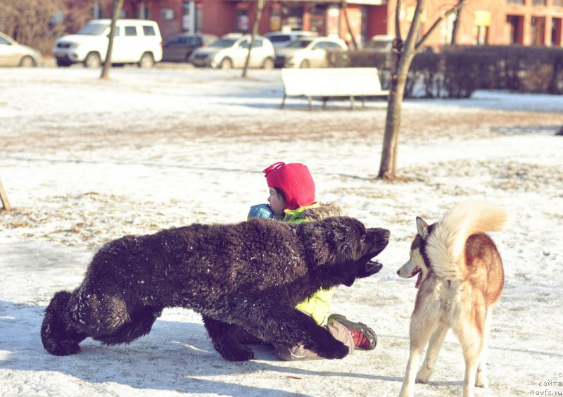 Фотография № 222823