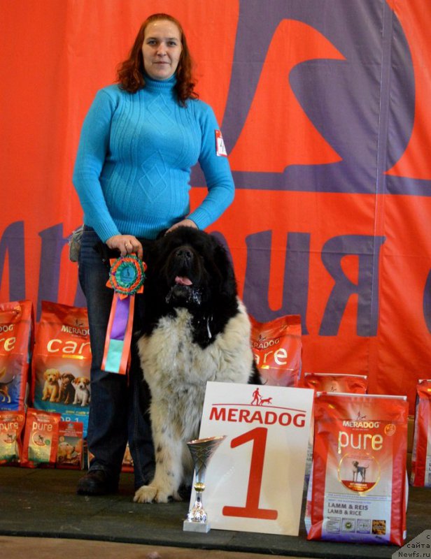 Фотография № 222836