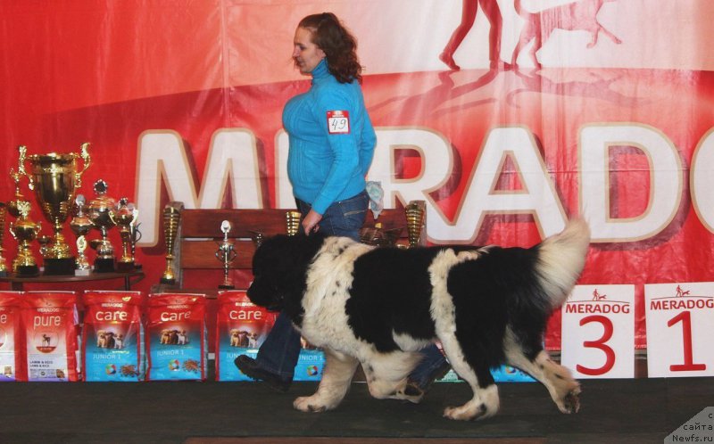 Фотография № 222837