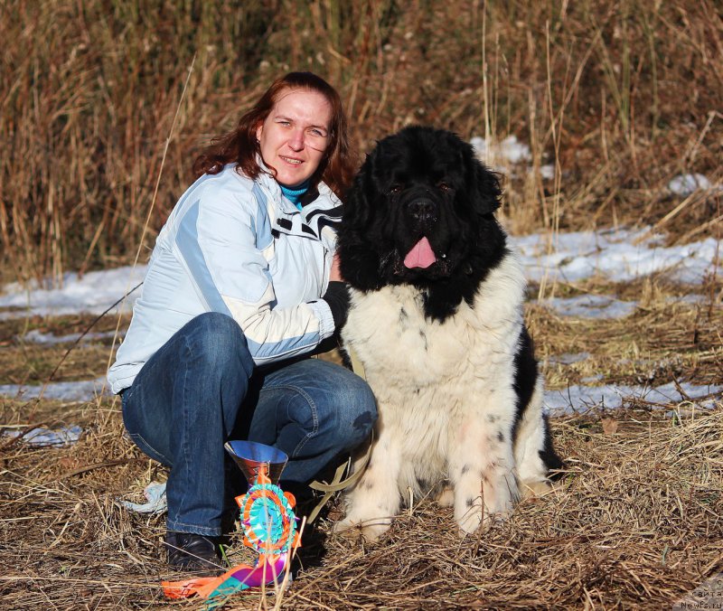 Фотография № 222840