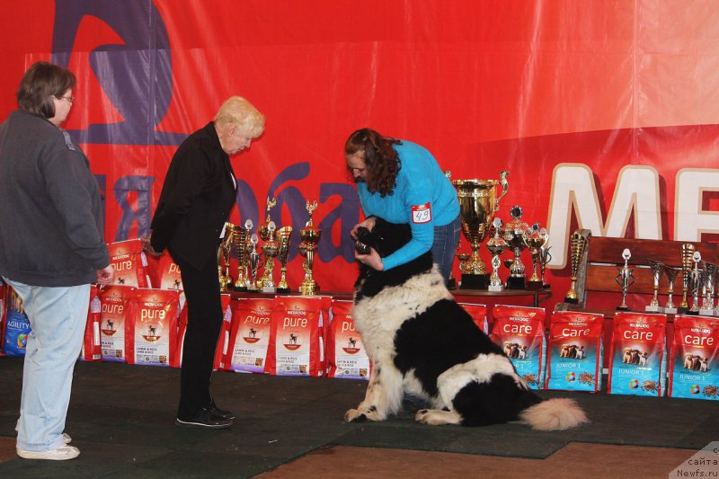 Фотография № 222845