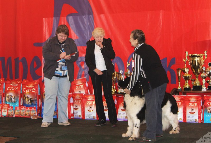 Фотография № 222846