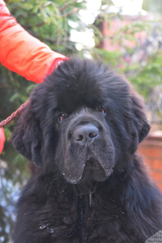 Фотография № 222876