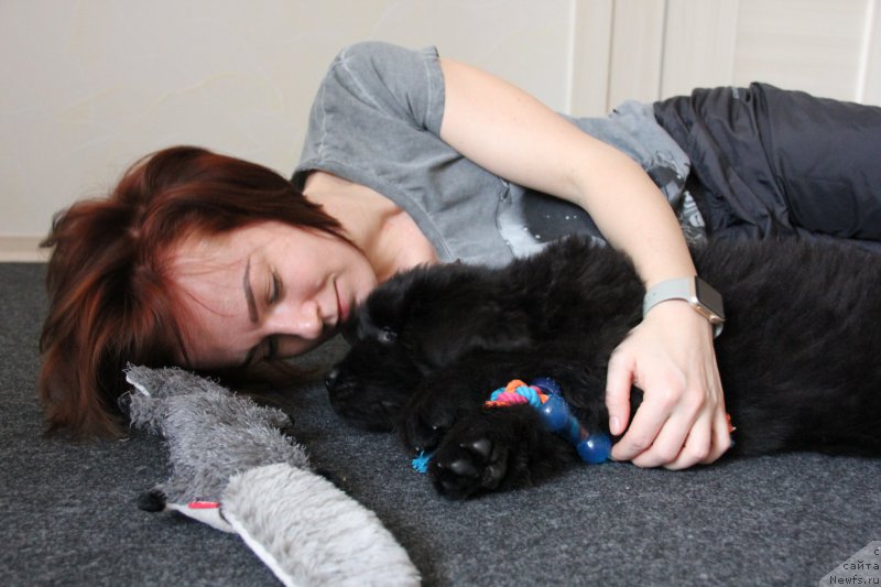 Фотография № 222904