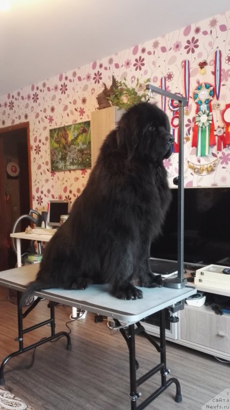 Фотография № 222966