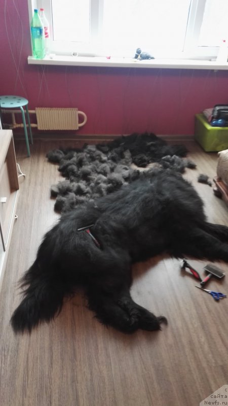 Фотография № 222969