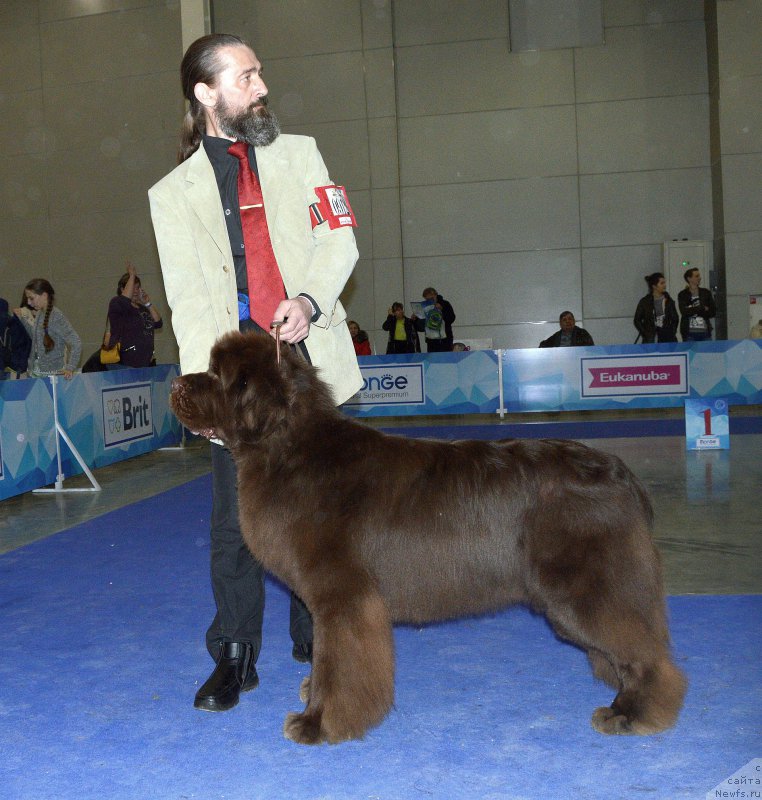 Фотография № 223003