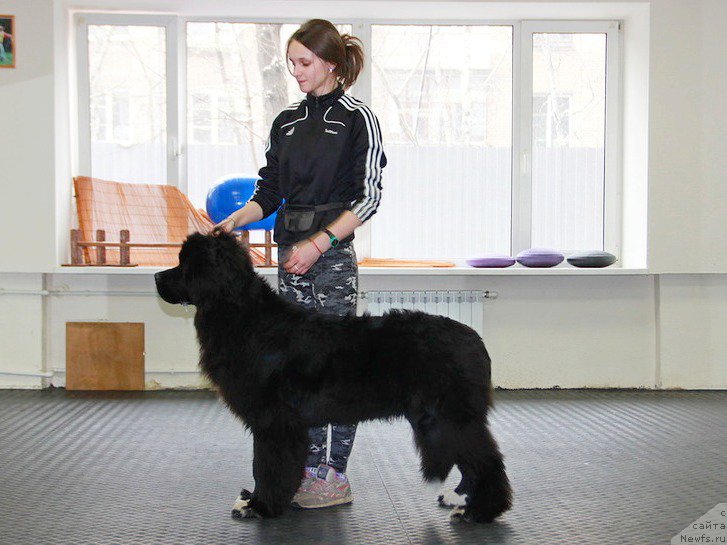 Фотография № 223042