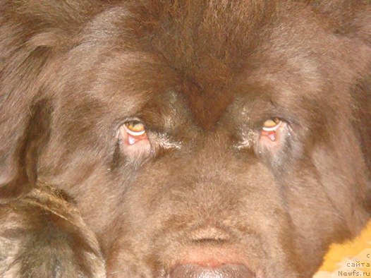 Фотография № 223050