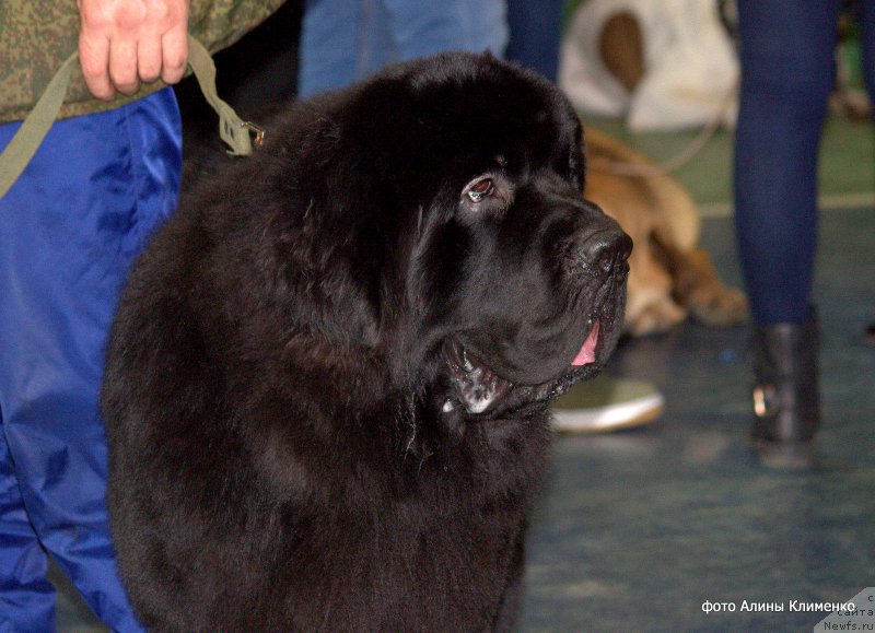 Фотография № 223053