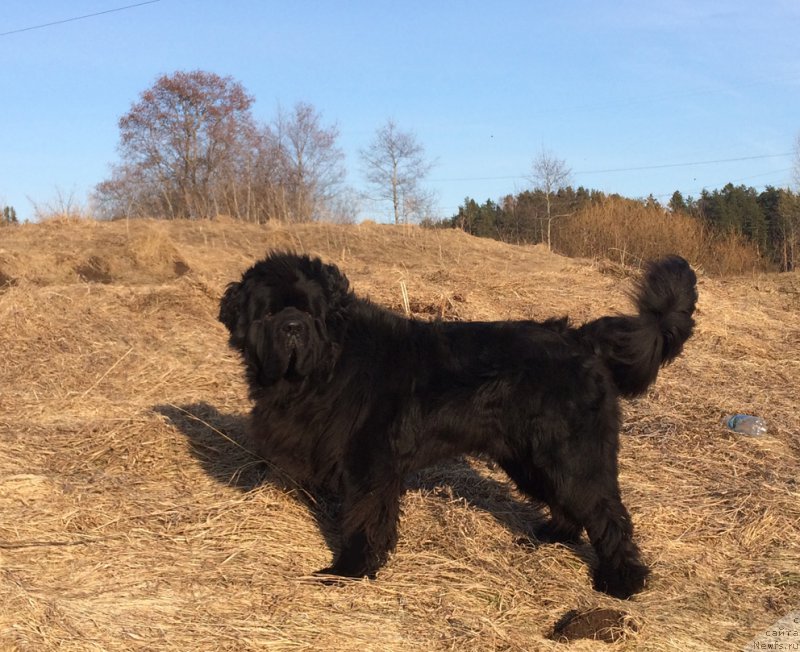 Фотография № 223057