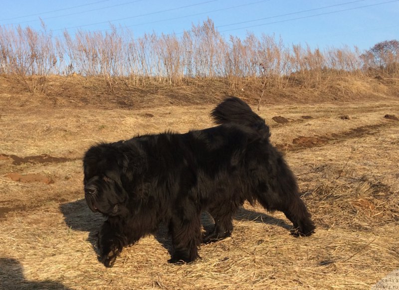 Фотография № 223058