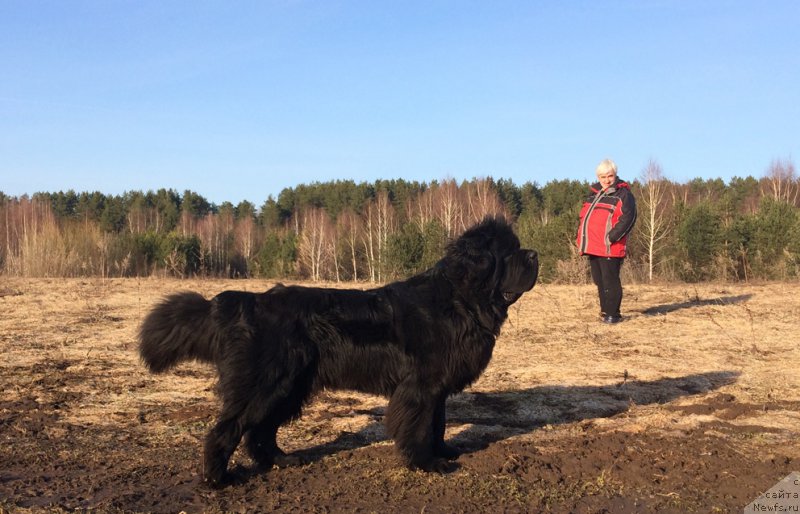 Фотография № 223059