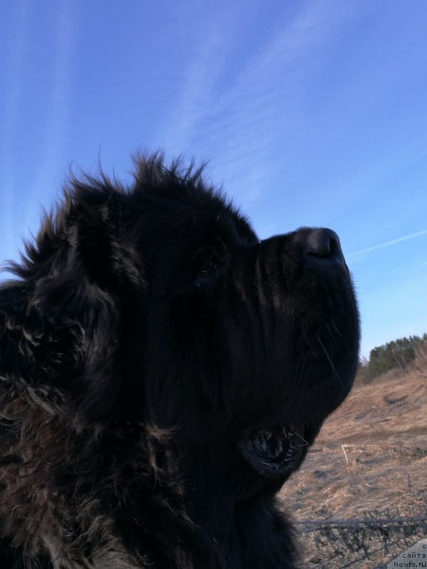 Фотография № 223062