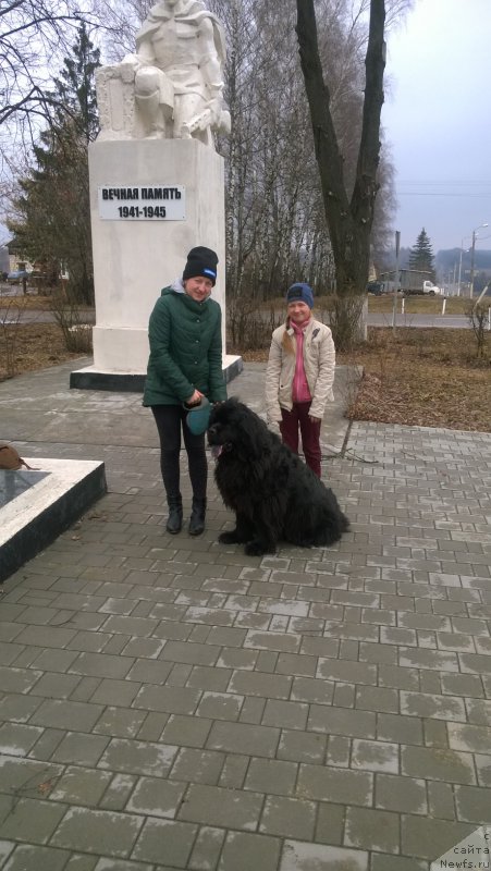 Фото: Идиллия Искрометная