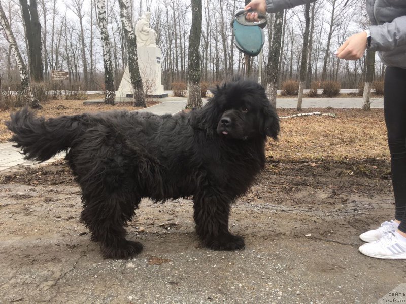 Фотография № 223123