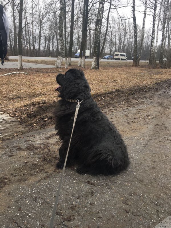 Фотография № 223125