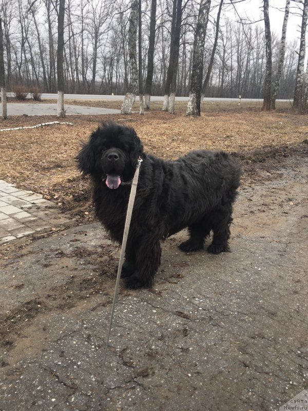 Фотография № 223127