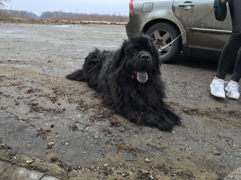 Фотография № 223128