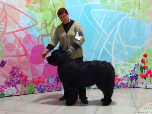 Фотография № 223133