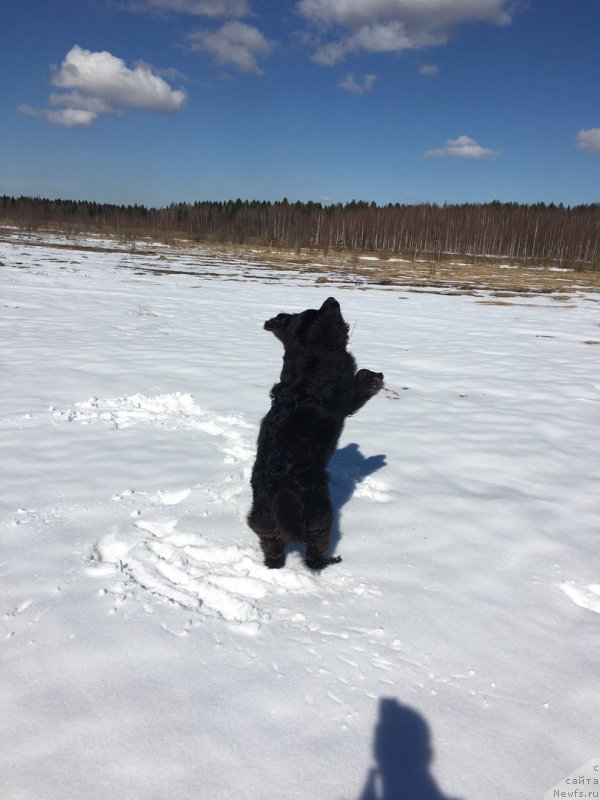 Фотография № 223189