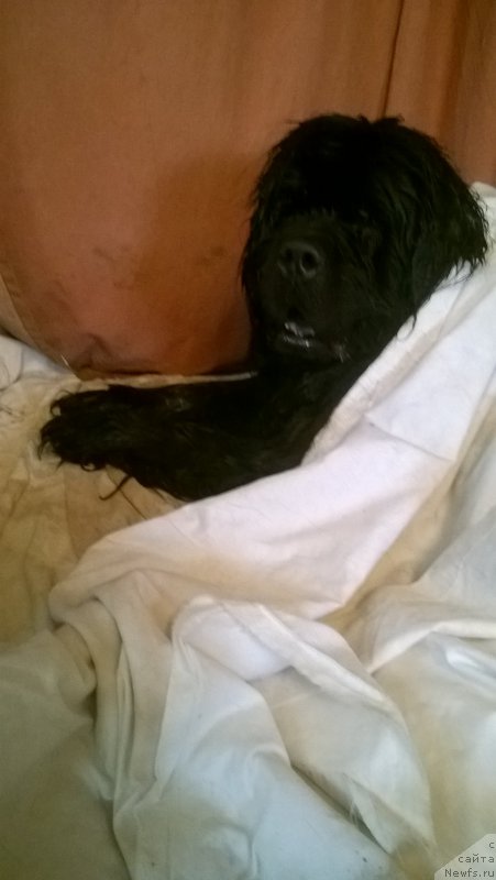 Фотография № 223213