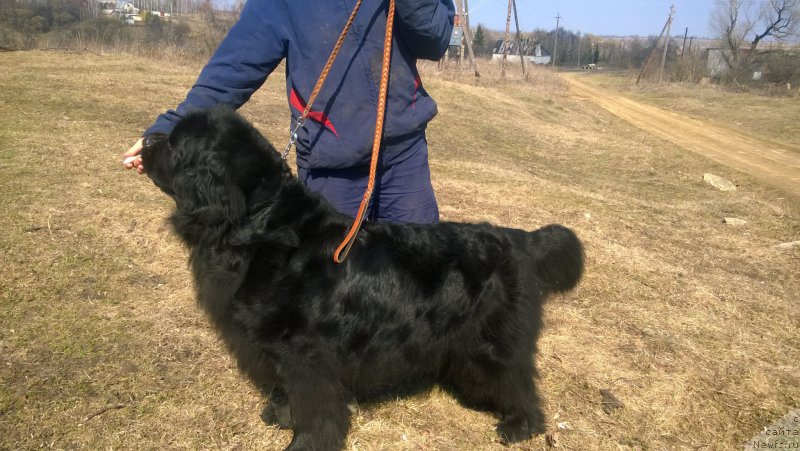 Фотография № 223215