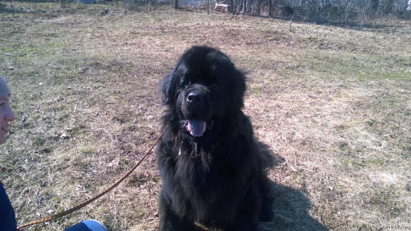 Фотография № 223217