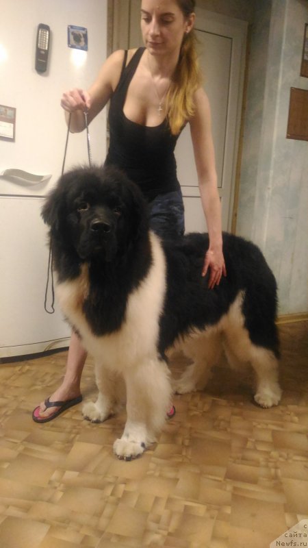 Фотография № 223232