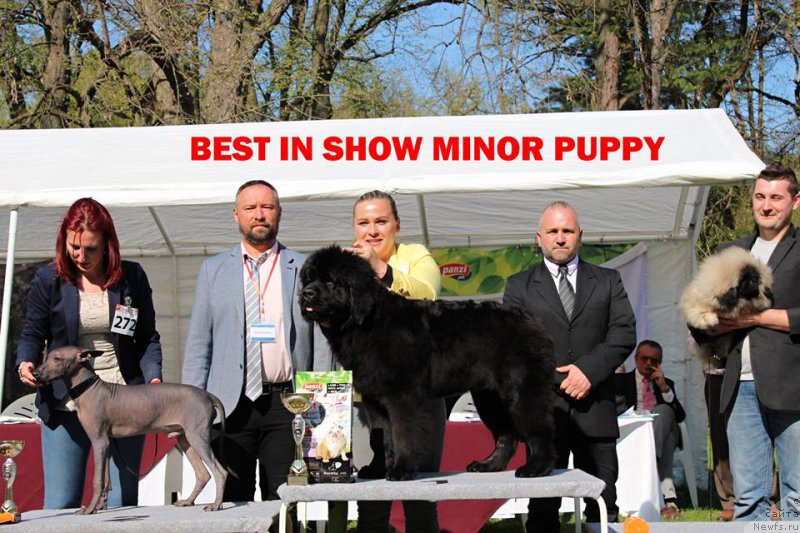 Фотография № 223242