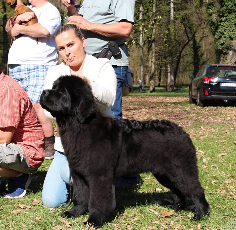 Фотография № 223243