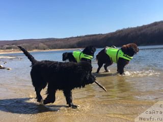 Фотография № 223244