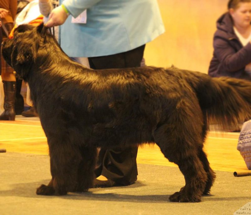 Фотография № 223250