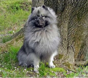 Фотография № 223254